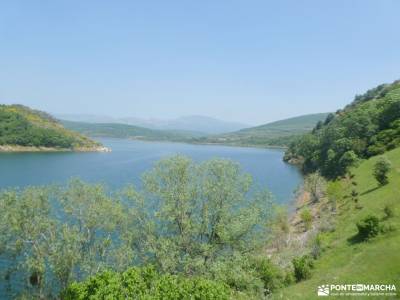 Parque Natural Montaña Palentina;senderismo selva de irati rutas por riaza viajes marzo excursiones 